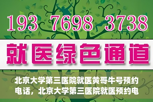 北京大学第三医院就医黄哥牛号预约电话，北京大学第三医院就医预约电话及黄哥牛号预约攻略