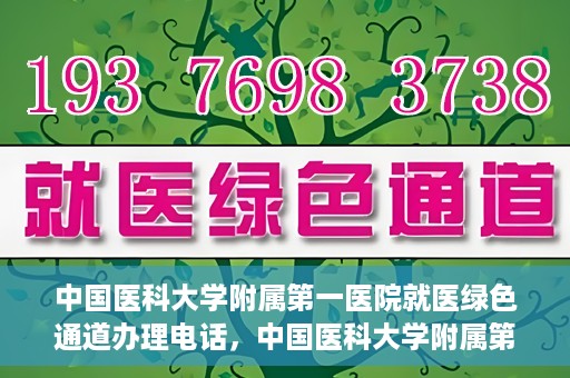 中国医科大学附属第一医院就医绿色通道办理电话，中国医科大学附属第一医院就医绿色通道服务热线及办理流程详解