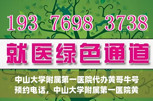 中山大学附属第一医院代办黄哥牛号预约电话，中山大学附属第一医院黄哥牛号预约电话代办服务解析