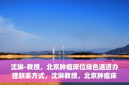 沈琳-教授，北京肿瘤床位绿色通道办理联系方式，沈琳教授，北京肿瘤床位绿色通道联系信息及办理指南