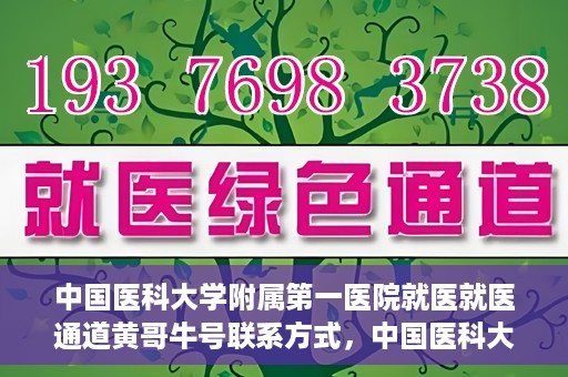 中国医科大学附属第一医院就医就医通道黄哥牛号联系方式，中国医科大学附属第一医院就医通道，黄哥牛号联系方式全解析