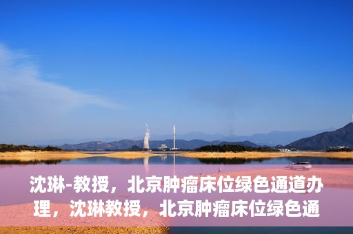 沈琳-教授，北京肿瘤床位绿色通道办理，沈琳教授，北京肿瘤床位绿色通道办理解析