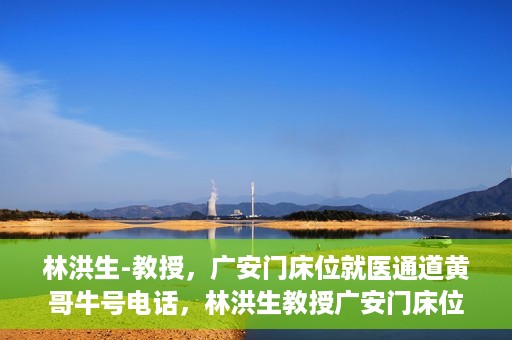 林洪生-教授，广安门床位就医通道黄哥牛号电话，林洪生教授广安门床位就医通道权威解读，黄哥牛号电话背后的故事