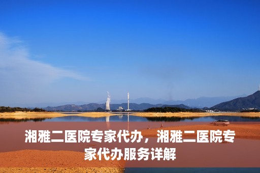 湘雅二医院专家代办，湘雅二医院专家代办服务详解
