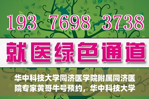 华中科技大学同济医学院附属同济医院专家黄哥牛号预约，华中科技大学同济医院黄哥牛号专家预约指南