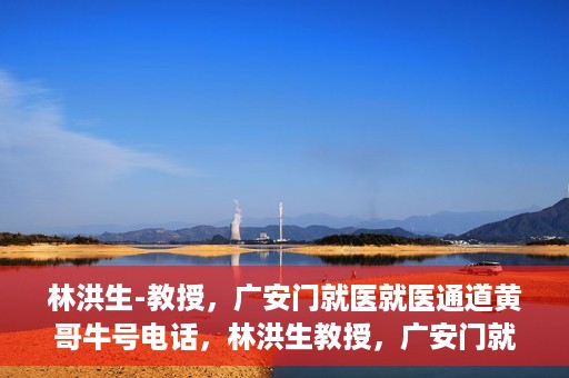 林洪生-教授，广安门就医就医通道黄哥牛号电话，林洪生教授，广安门就医通道揭秘，黄哥牛号电话一线通？