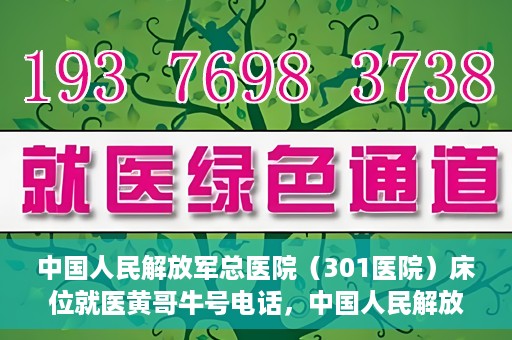 中国人民解放军总医院（301医院）床位就医黄哥牛号电话，中国人民解放军总医院（301医院）床位预约就医攻略，黄哥牛号电话全解析