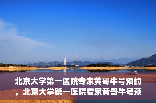 北京大学第一医院专家黄哥牛号预约，北京大学第一医院专家黄哥牛号预约攻略，一站式解决您的健康需求