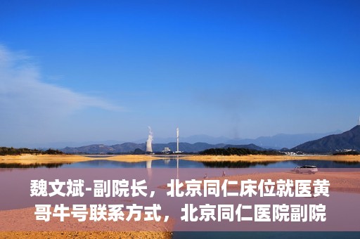 魏文斌-副院长，北京同仁床位就医黄哥牛号联系方式，北京同仁医院副院长魏文斌，床位就医问题与黄哥牛号联系方式解析