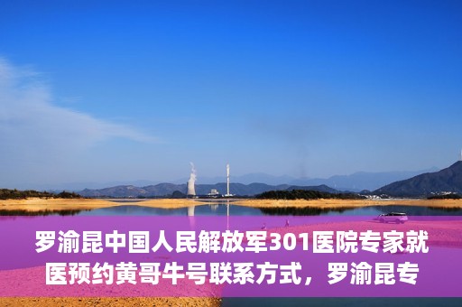 罗渝昆中国人民解放军301医院专家就医预约黄哥牛号联系方式，罗渝昆专家就医预约联系方式及预约指南，中国人民解放军301医院黄哥牛号就医攻略