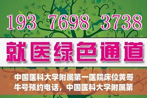 中国医科大学附属第一医院床位黄哥牛号预约电话，中国医科大学附属第一医院床位预约电话及黄哥牛号预约攻略