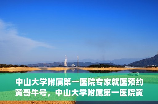 中山大学附属第一医院专家就医预约黄哥牛号，中山大学附属第一医院黄哥牛号专家预约指南