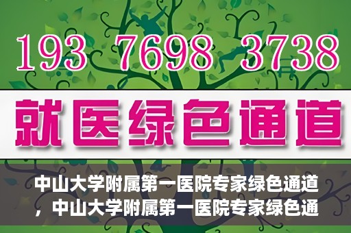 中山大学附属第一医院专家绿色通道，中山大学附属第一医院专家绿色通道，一站式健康服务体验新篇章