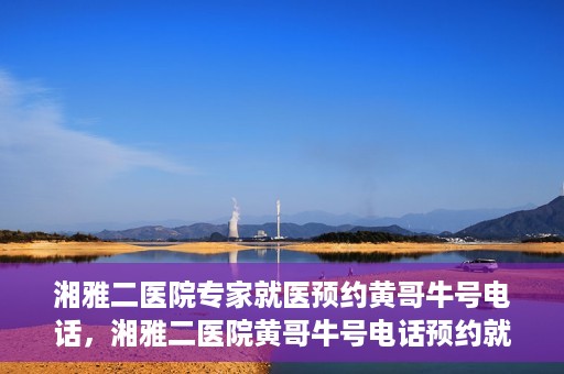 湘雅二医院专家就医预约黄哥牛号电话，湘雅二医院黄哥牛号电话预约就医攻略，专家预约指南