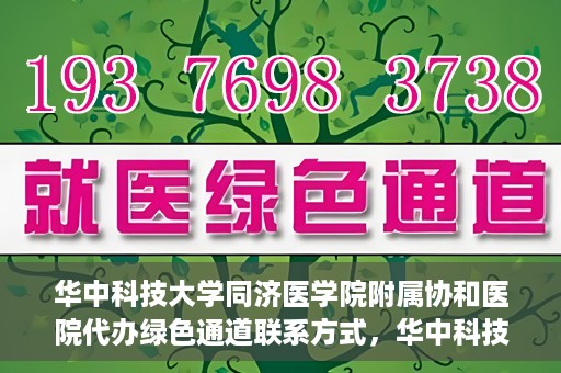 华中科技大学同济医学院附属协和医院代办绿色通道联系方式，华中科技大学同济医学院附属协和医院绿色通道代办联系方式揭秘