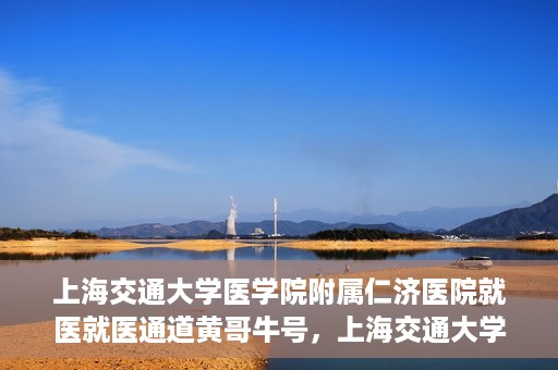 上海交通大学医学院附属仁济医院就医就医通道黄哥牛号，上海交通大学医学院附属仁济医院就医通道，黄哥牛号助您轻松就医体验之旅