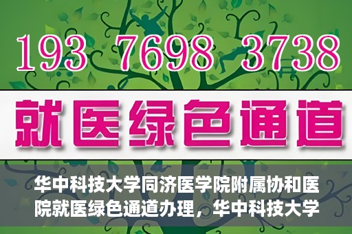 华中科技大学同济医学院附属协和医院就医绿色通道办理，华中科技大学同济医学院附属协和医院就医绿色通道详解与办理指南