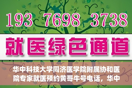 华中科技大学同济医学院附属协和医院专家就医预约黄哥牛号电话，华中科技大学同济医学院附属协和医院专家预约挂号攻略，黄哥牛号电话就医预约指南