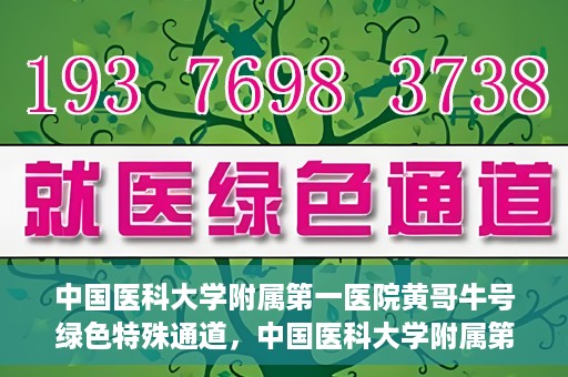 中国医科大学附属第一医院黄哥牛号绿色特殊通道，中国医科大学附属第一医院黄哥牛号，绿色特殊通道的开启与探索