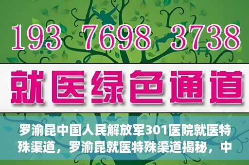 罗渝昆中国人民解放军301医院就医特殊渠道，罗渝昆就医特殊渠道揭秘，中国人民解放军301医院的医疗力量与特殊渠道就医体验