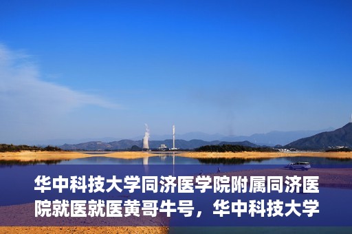 华中科技大学同济医学院附属同济医院就医就医黄哥牛号，华中科技大学同济医院就医体验分享，黄哥牛号就医之旅