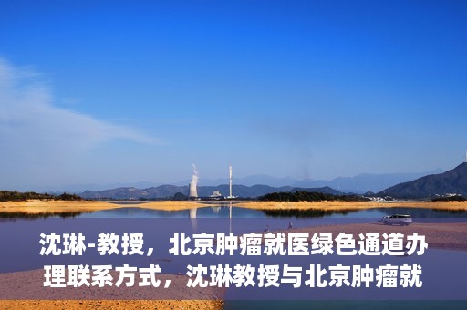沈琳-教授，北京肿瘤就医绿色通道办理联系方式，沈琳教授与北京肿瘤就医绿色通道，一站式联系指南