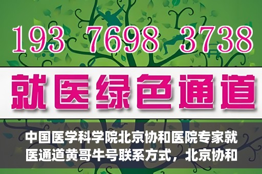 中国医学科学院北京协和医院专家就医通道黄哥牛号联系方式，北京协和医院专家黄哥牛号就医指南及联系方式揭秘