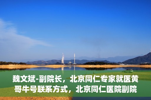 魏文斌-副院长，北京同仁专家就医黄哥牛号联系方式，北京同仁医院副院长魏文斌，黄哥牛号就医联系指南与专家联系方式揭秘
