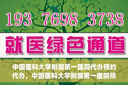 中国医科大学附属第一医院代办预约代办，中国医科大学附属第一医院预约代办服务详解