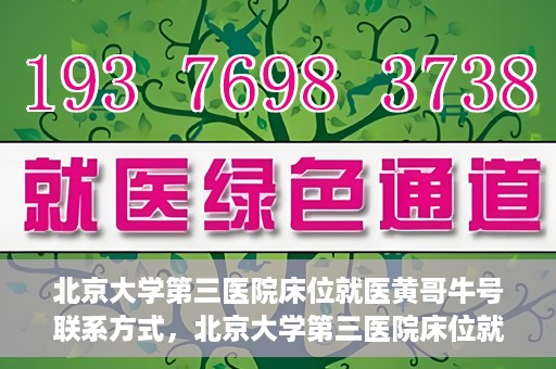 北京大学第三医院床位就医黄哥牛号联系方式，北京大学第三医院床位就医攻略，黄哥牛号联系方式揭秘