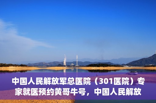 中国人民解放军总医院（301医院）专家就医预约黄哥牛号，中国人民解放军总医院（301医院）黄哥牛号专家预约就医攻略