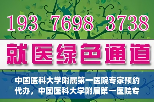 中国医科大学附属第一医院专家预约代办，中国医科大学附属第一医院专家预约代办服务详解