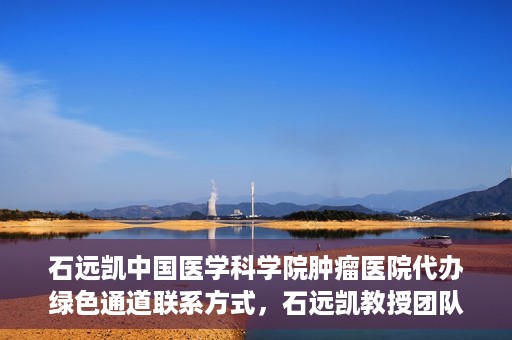 石远凯中国医学科学院肿瘤医院代办绿色通道联系方式，石远凯教授团队绿色通道联系方式，中国医学科学院肿瘤医院权威解读与代办服务指南
