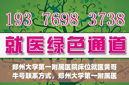 郑州大学第一附属医院床位就医黄哥牛号联系方式，郑州大学第一附属医院床位就医攻略，黄哥牛号联系方式揭秘