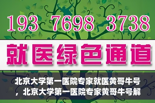 北京大学第一医院专家就医黄哥牛号，北京大学第一医院专家黄哥牛号解析就医秘籍