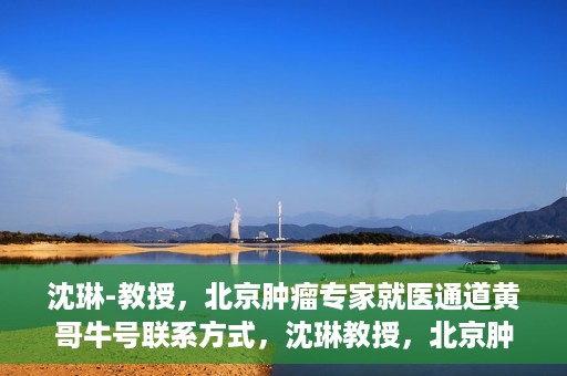 沈琳-教授，北京肿瘤专家就医通道黄哥牛号联系方式，沈琳教授，北京肿瘤专家就医通道揭秘，黄哥牛号联系方式一览无余