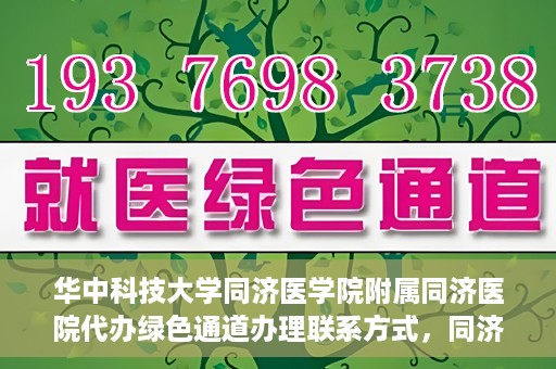 华中科技大学同济医学院附属同济医院代办绿色通道办理联系方式，同济医院绿色通道办理指南，联系方式及代办流程揭秘