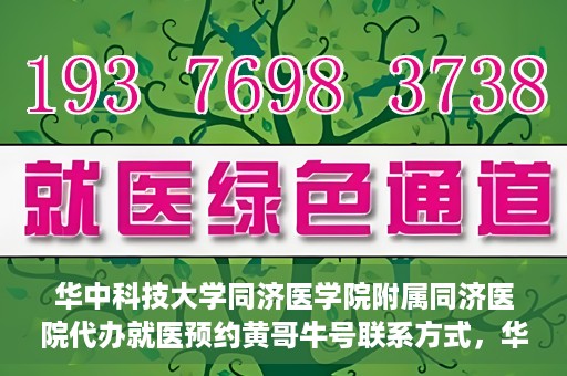 华中科技大学同济医学院附属同济医院代办就医预约黄哥牛号联系方式，华中科技大学同济医院预约就医预约黄哥联系方式及牛号代办服务指南