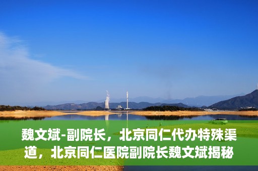 魏文斌-副院长，北京同仁代办特殊渠道，北京同仁医院副院长魏文斌揭秘特殊渠道代办内幕