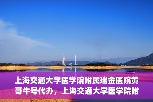上海交通大学医学院附属瑞金医院黄哥牛号代办，上海交通大学医学院附属瑞金医院黄哥牛号预约代办服务