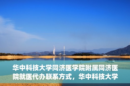 华中科技大学同济医学院附属同济医院就医代办联系方式，华中科技大学同济医学院附属同济医院就医代办服务联系方式解析
