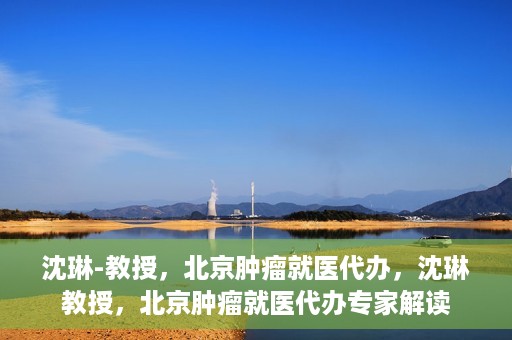 沈琳-教授，北京肿瘤就医代办，沈琳教授，北京肿瘤就医代办专家解读