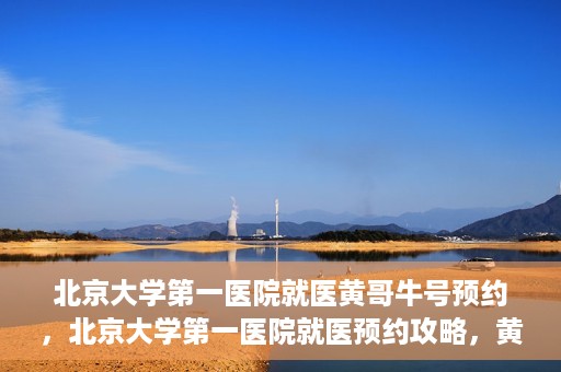 北京大学第一医院就医黄哥牛号预约，北京大学第一医院就医预约攻略，黄哥牛号预约详解