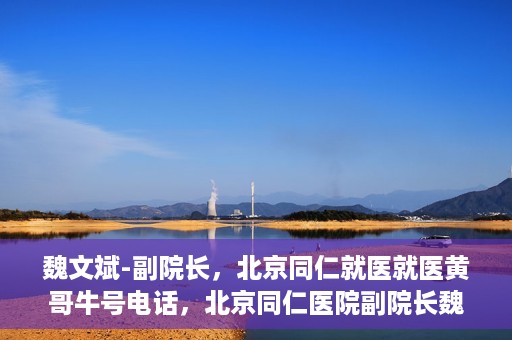 魏文斌-副院长，北京同仁就医就医黄哥牛号电话，北京同仁医院副院长魏文斌，黄哥牛号电话背后的就医故事探索