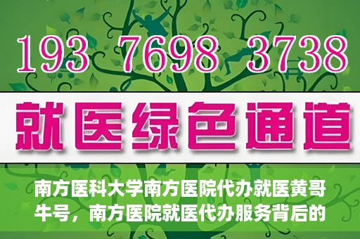 南方医科大学南方医院代办就医黄哥牛号，南方医院就医代办服务背后的故事，黄哥牛号引领就医新风尚