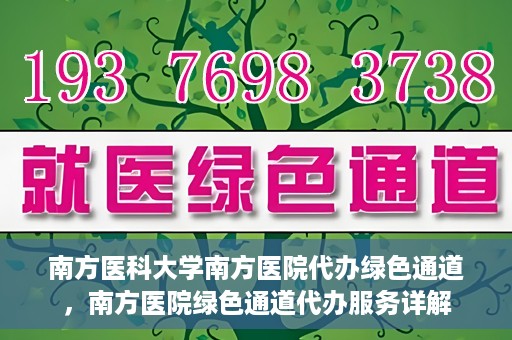 南方医科大学南方医院代办绿色通道，南方医院绿色通道代办服务详解