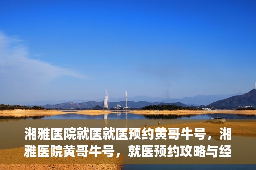 湘雅医院就医就医预约黄哥牛号，湘雅医院黄哥牛号，就医预约攻略与经验分享