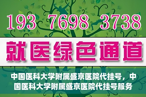 中国医科大学附属盛京医院代挂号，中国医科大学附属盛京医院代挂号服务详解