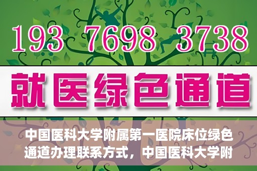 中国医科大学附属第一医院床位绿色通道办理联系方式，中国医科大学附属第一医院床位绿色通道办理指南及联系方式揭秘