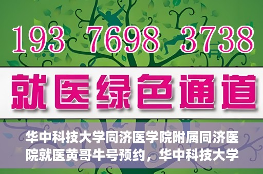 华中科技大学同济医学院附属同济医院就医黄哥牛号预约，华中科技大学同济医院黄哥牛号预约攻略，就医新体验